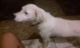 NÃO SEI