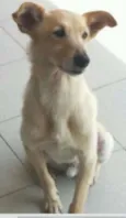 Nick