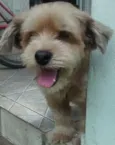 Radames