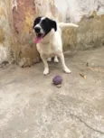 Vitória 
