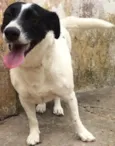Vitória 