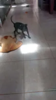 Não tem