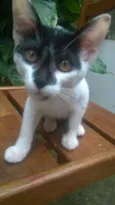 Frederico