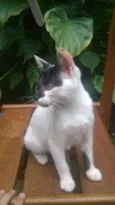 Frederico