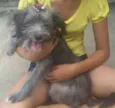 Myla