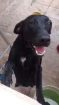 Nina