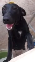Nina