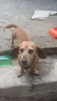 Bob