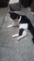 pequena