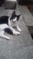 pequena