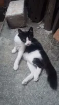 pequena