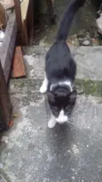 pequena