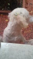Meg