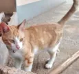 Mine