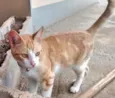 Mine