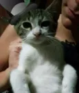 Nenezinho
