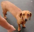 Não sei