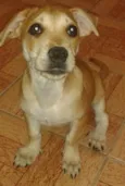 Paçoca