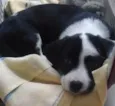 lupita