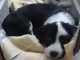 lupita