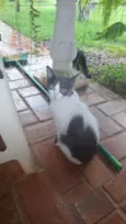 Frida