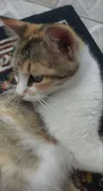 Princesa