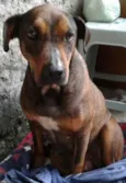 Juli