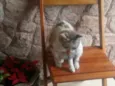 Tina