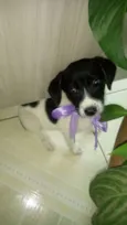 Peralta