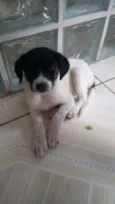 Peralta