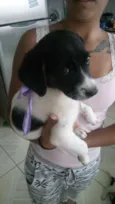 Peralta