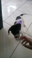 Peralta