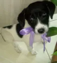 Peralta