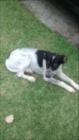 Lili