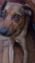 nina