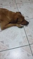 nina