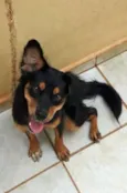 Miah