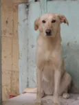 Nina