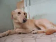 Nina