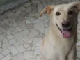Nina