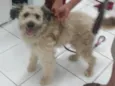 Bob