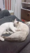 George e Luna