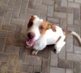 Menino