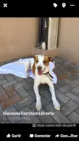Menino