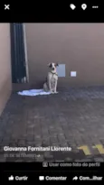 Menino