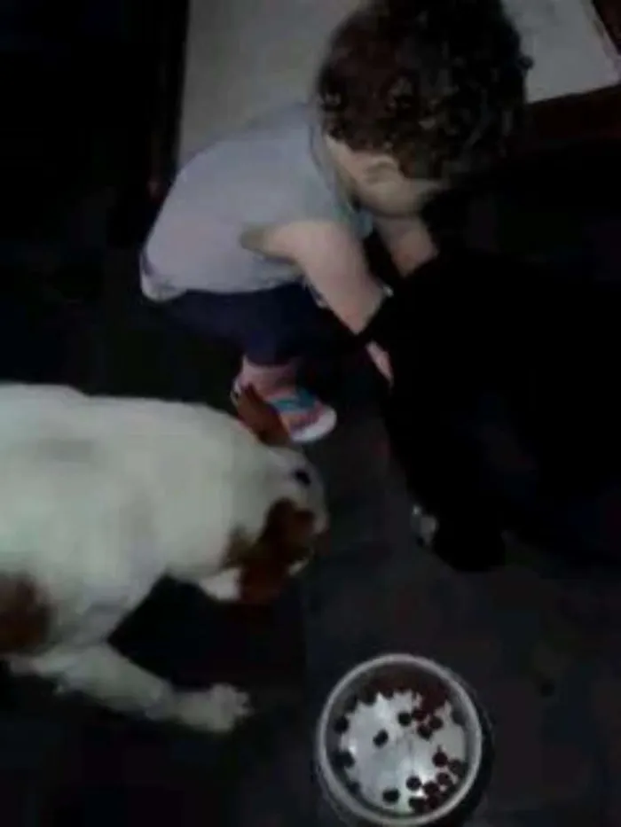 Cachorro ra a RND idade 6 ou mais anos nome Negão