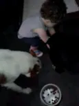 Negão