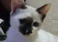 Amy