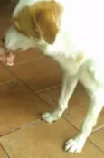 Billy
