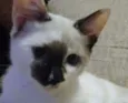 Amy